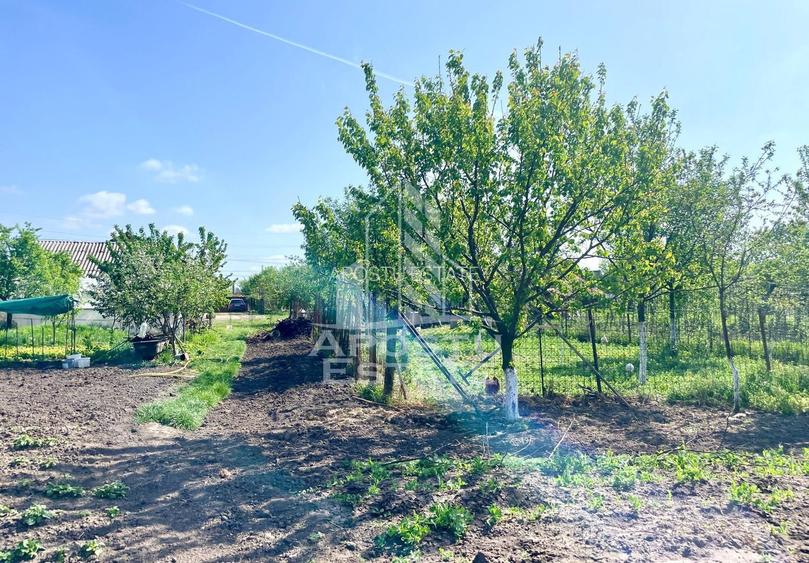 Casa individuala cu curte individuala si gradina - Zona Gai - 22