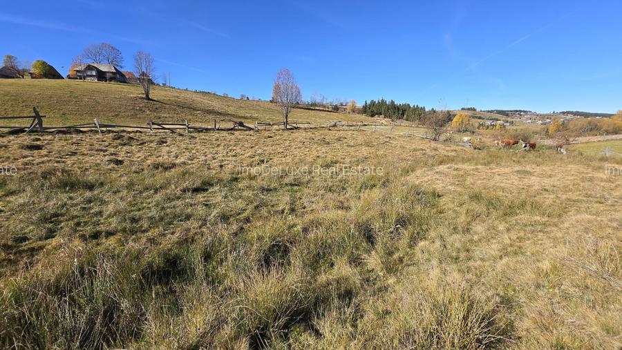 Teren extravilan, 4130mp, cu parau, la 500m de Primaria Marisel - 7