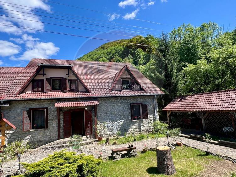 Pensiune cu 13 camere de vânzare in Bulz - 48