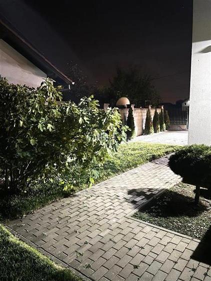 Vila Deosebita Dumbravita - 11