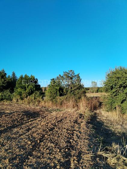 Ciolpani, spre Izvorani - COR, vanzare teren 5000mp. - 18