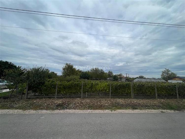 Teren de vanzare in localitatea Iazurile judetul Tulcea - 3