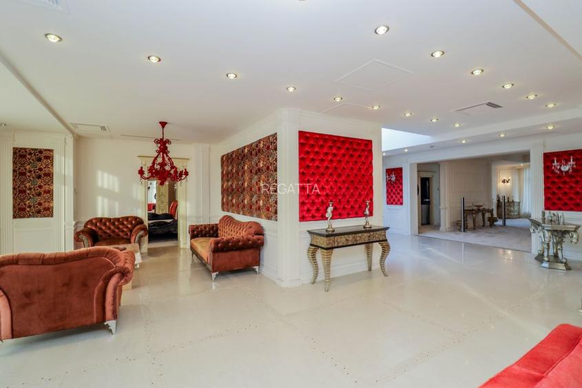 Vila de vanzare 11 camere zona Tei 1450 mp - 6