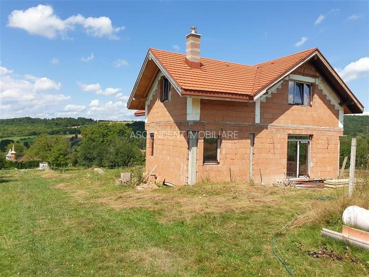 FILM! Casa si domeniu de 5.000mp, in Berchez:o bijuterie ascunsa a Maramuresului - 2