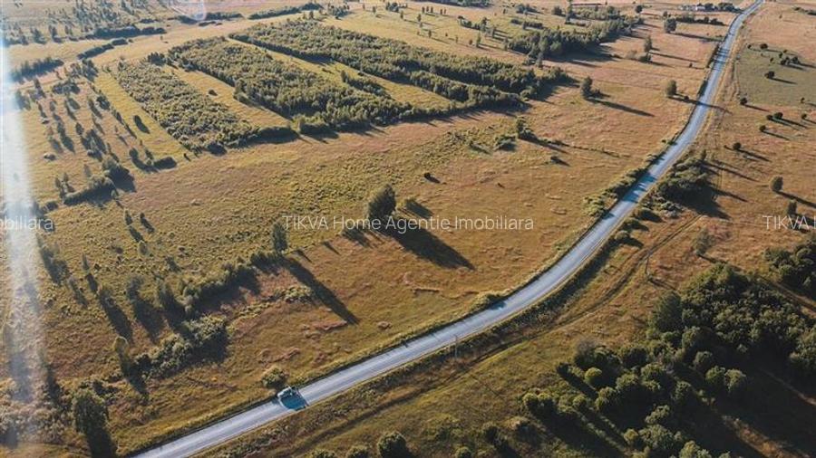 Teren intravilan in Suseni langa DJ138 - 5