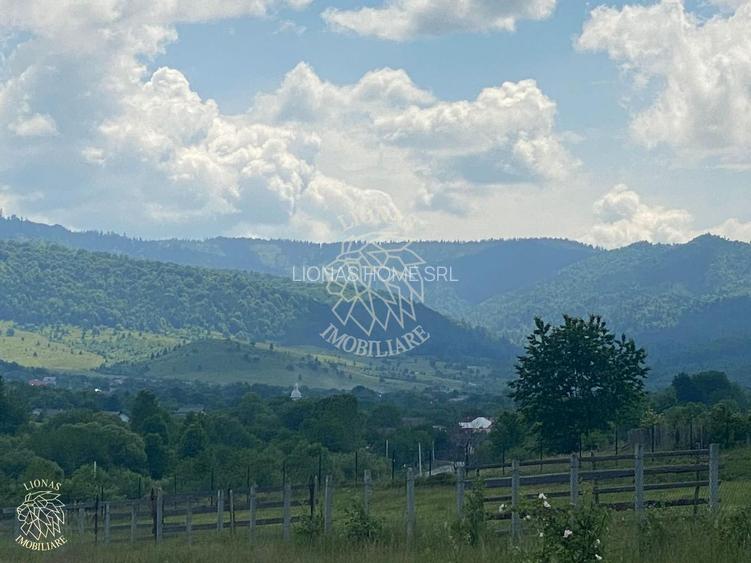 Teren 6500 mp-Lac-vedere panoramica-ideal cabana-Cusma - 7