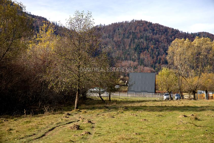 Teren intravilan 5723mp Zarnesti Tohanita- case de vacanta,investitie in turism - 8