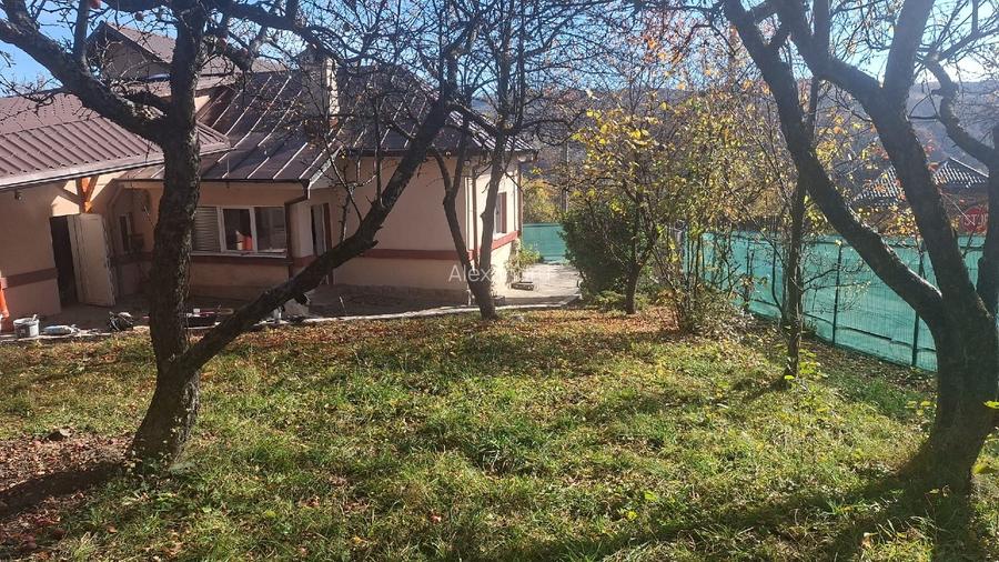 Proprietar vila Câmpulung Muscel str Dracesti 34 colt str Plaiesi - 2