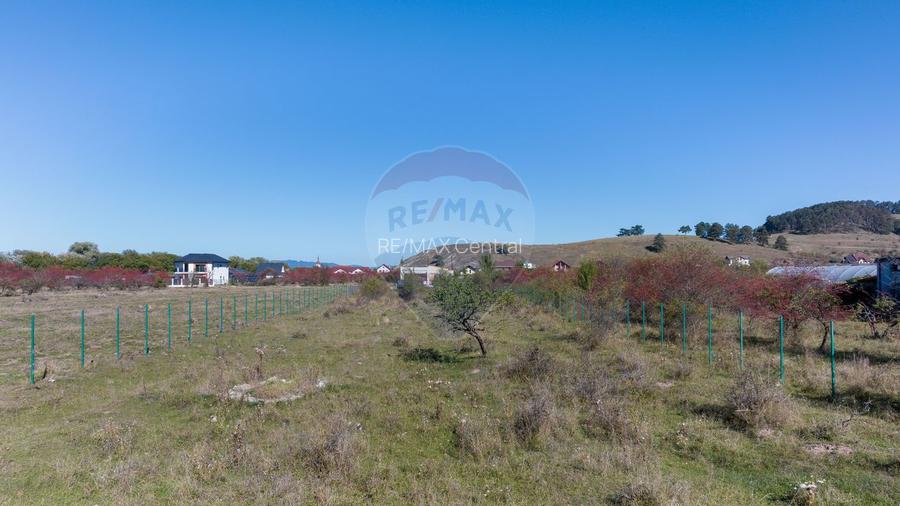 Teren Sanpetru -livada, Strada Nucului, 1296mp, apa, gaz, curent - 2