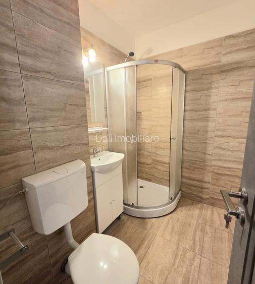 Garsonieră de închiriat – Bd. Victoriei, lângă Piața Dacia, Zona Garii - 5