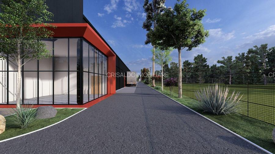 Proiect Nou Buftea - Rasaritului - 3