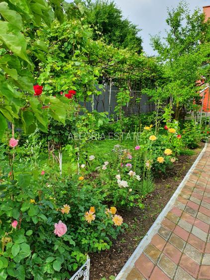 P002-Vila individuala-5 camere-Zona Andronache-Comision 0 - 8