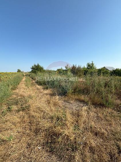 Teren Tartasesti aproape de complexul rezidențial Buna Ziua - 5