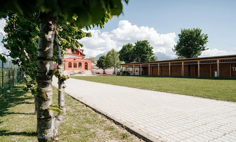 Proximitate fata de Castelul Bran - 52