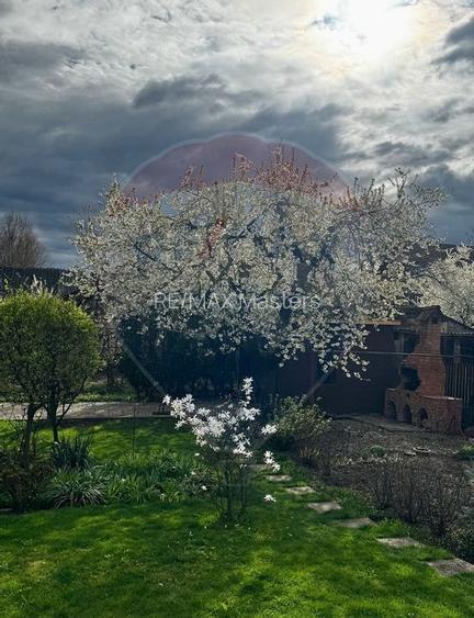 Casă / Vilă cu 8 camere de vânzare în zona Central - 8