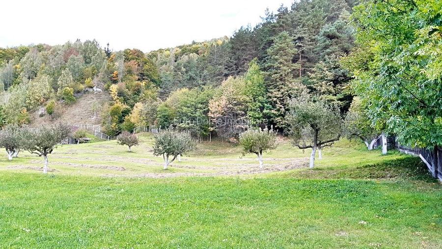 Teren superb de 16240mp, parcelabil, in Bran la intrare in Moeciu de Jos - 17