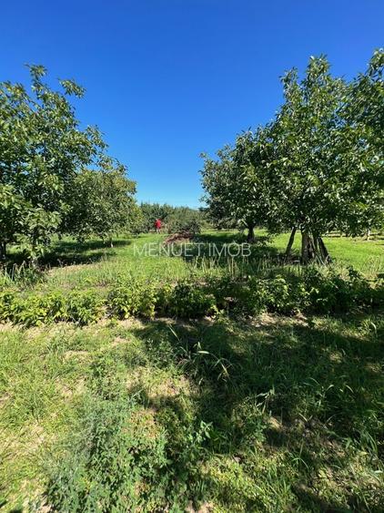 Gospodarie cu Livada, 2900mp, Com Izvoarele - 12