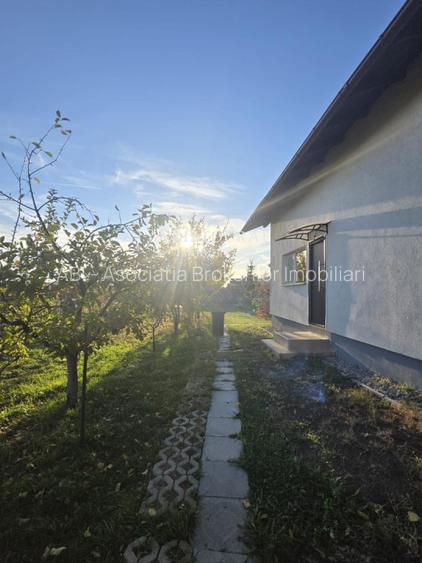 Inchirieri Case / Vile Corbeanca - 11