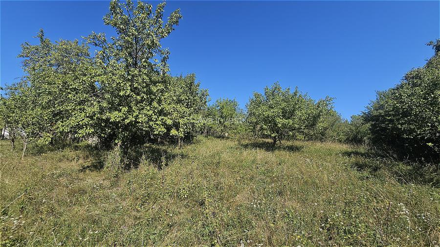 Proprietate cu potential turistic in sat Pietroasa, com. Moldovenesti, jud. Cluj - 5