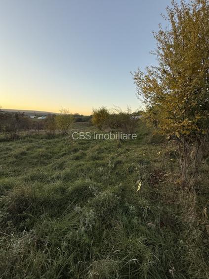 Teren extravilan de vanzare in Salicea 916mp+84mp drum necesita PUZ - 5