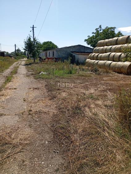 Teren pentru diferite activitati de productie , transport ,constructii si depozi - 3