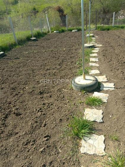 Teren extravilan cu apa si curent 700 mp in Sura Mare - 2