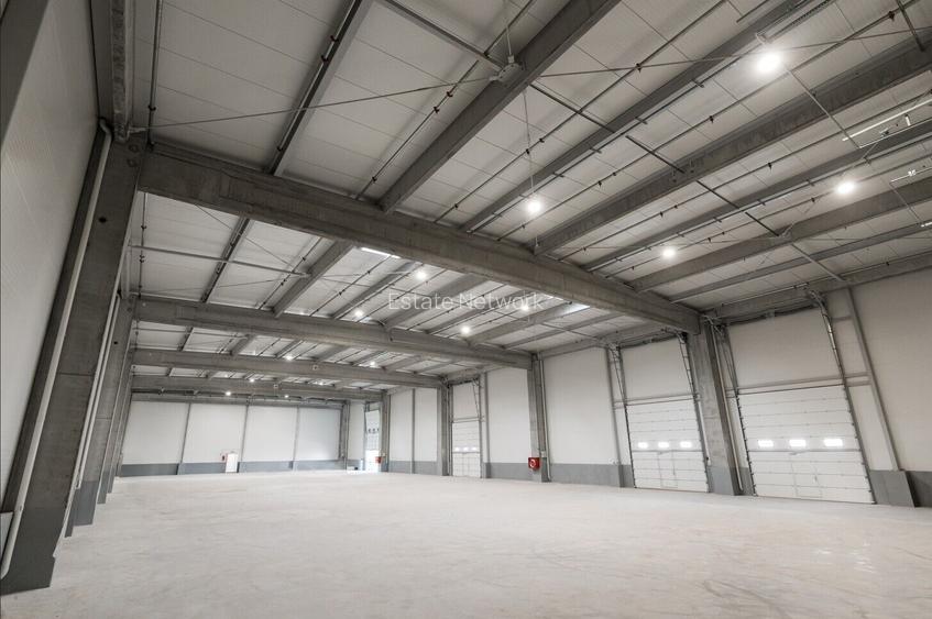 VANZARE HALA INDUSTRIALA / TERMINAL OTOPENI - 3