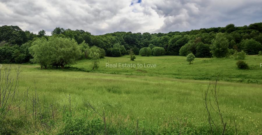 Teren la padure, panoramic dealuri si paduri, curent si asfalt - 11