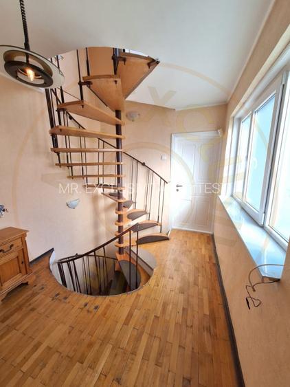 Casa Pitesti Exercitiu zona centrala - 10