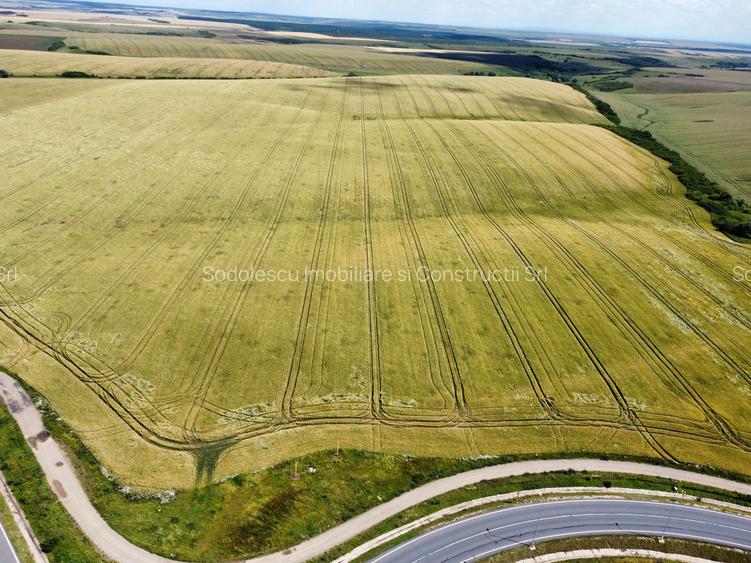 Teren la sosea Ortisoara - Autostrada A1 - 29