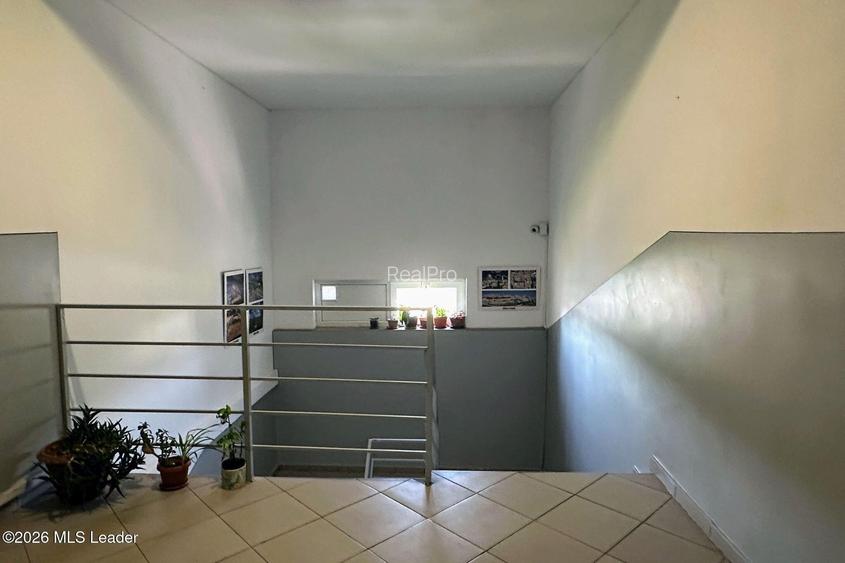 Fizicienilor - Lacramioarei, 3 camere 67 mp, pod 40 mp, modernizat - 25