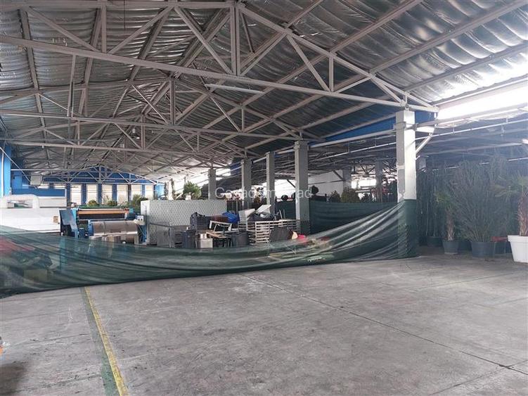 Hala noua cu acces la sos. de centura - 2