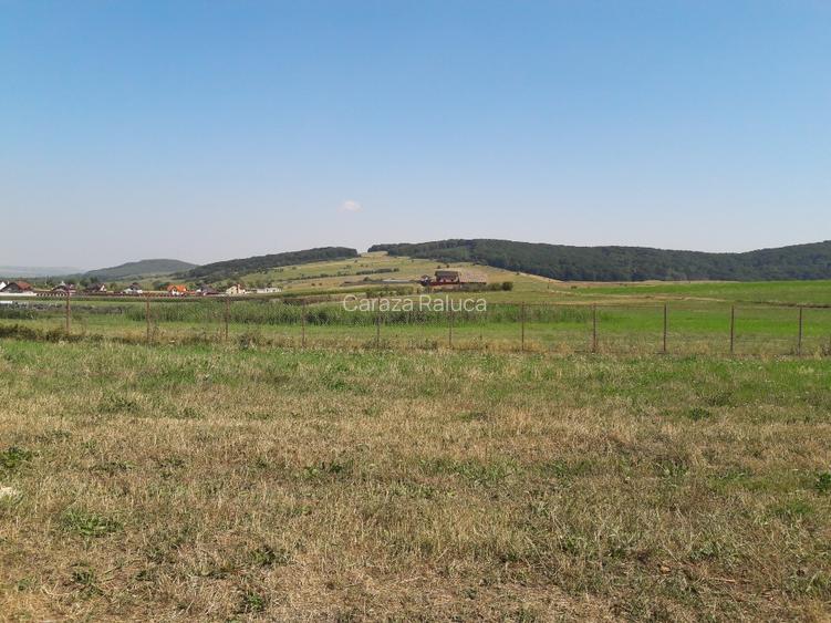 5050mp teren intravilan, faneata, comuna Garcina, sat Almas, Neamt - 4