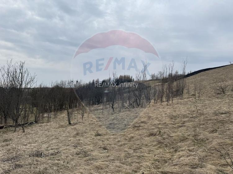 Teren intravilan 2307 mp în Salicea, zona premium, aproape de Cluj - 12