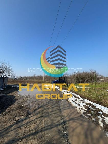 Casă P+M de vânzare – teren 500 mp – Frumușani, jud. Călărași - 13