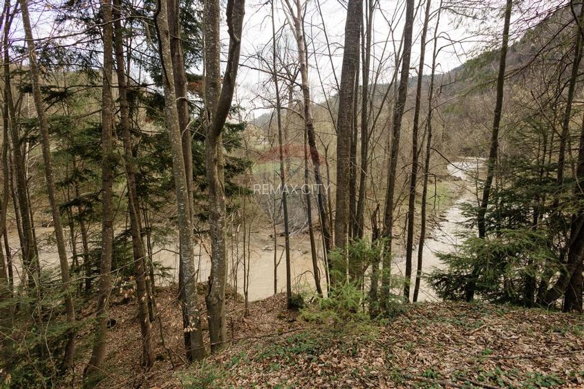 Casa si teren intravilan Tarcau - 26