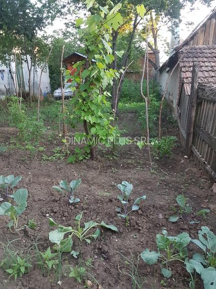 Casa singur in curte in Apoldu de Jos , la 35 km de Sibiu! - 41