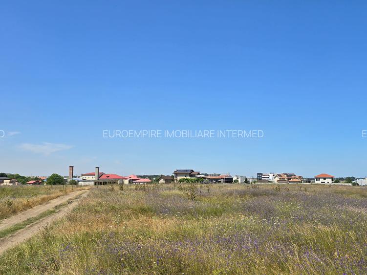 Vanzari terenuri in Techirghiol zona lac - 5
