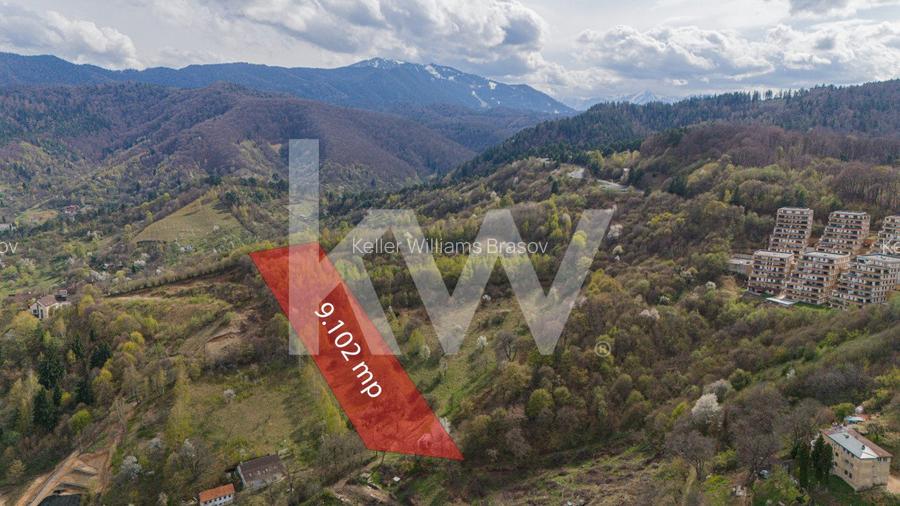 Teren Drumul Poienii - Seasons Residence - 5