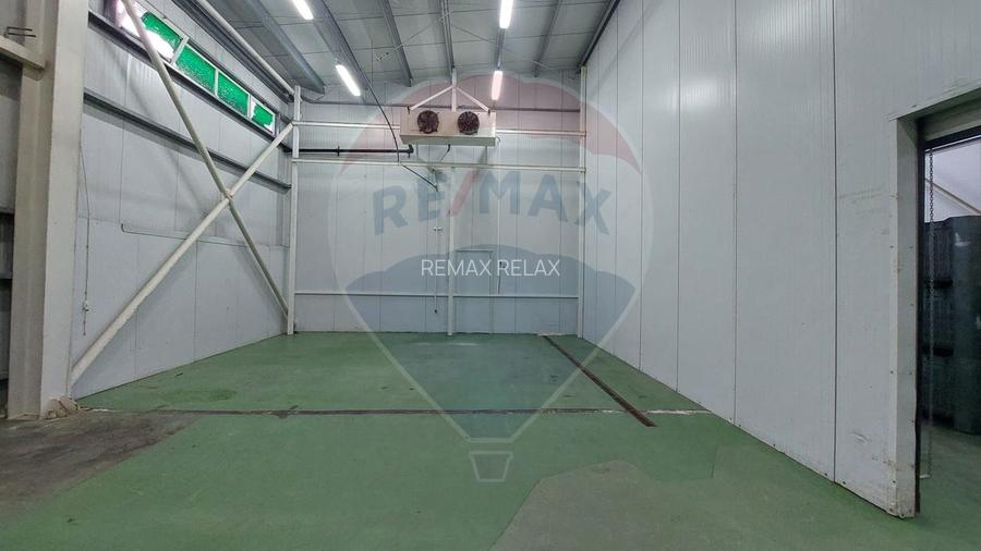 Depozit/Spațiu industrial Vaslui - 0% Comision cumparator - 51