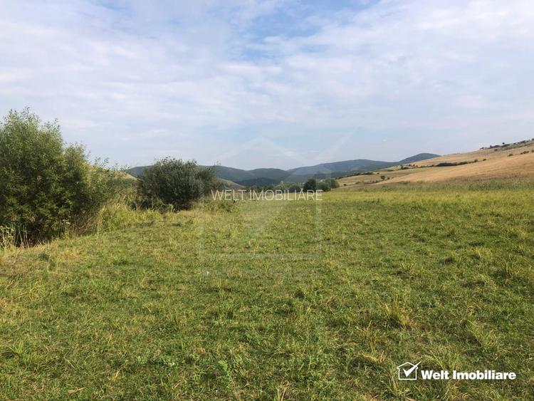 21.500 mp de teren cu privelisti superbe in Valea Agrisului (comuna Iara) - 7