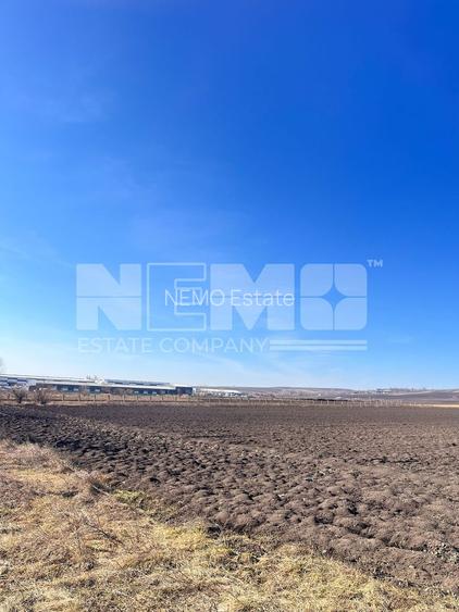 Vanzare I Teren I Suceava/Stroiesti I 100 ARI 2999 Euro/Ar - 11