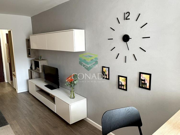 Garsoniera renovata modern str Nada Florilor - Teiul Domnei - 4