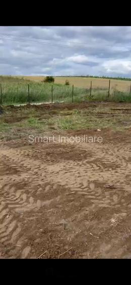 Teren Intravilan 550 mp Bod/Sanpetru - 2