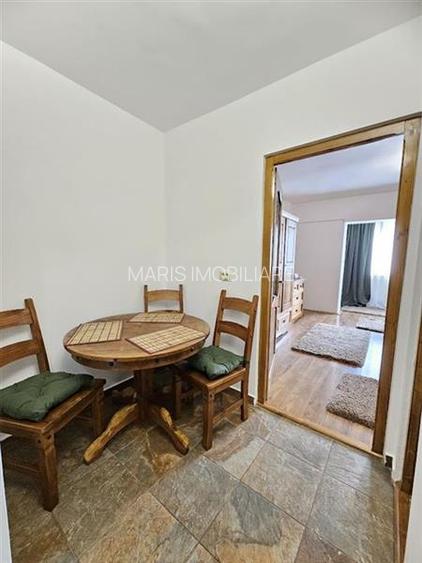 Inchiriere apartament 1 camera Centru - 6