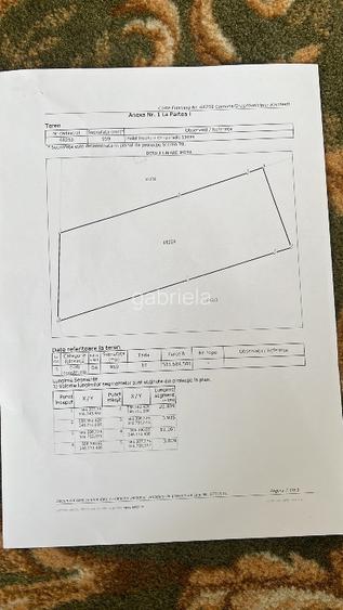 Proprietar Teren 960mp Balotesti Tarina Veche - 4