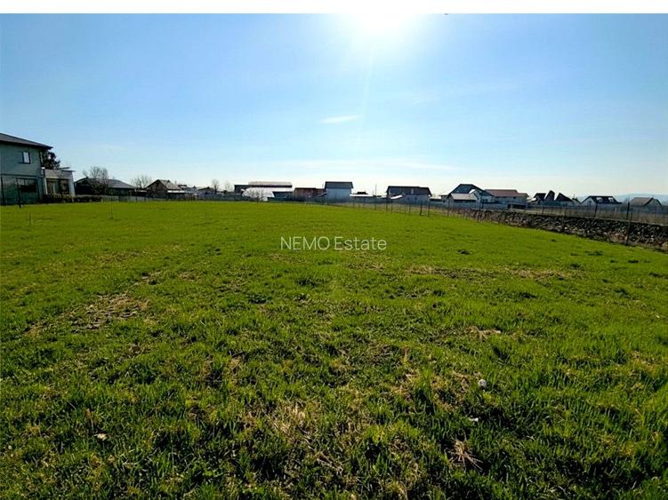 Teren Intravilan Salcea | 72.000 MP | Parcelabil | Investiție Majoră - 6