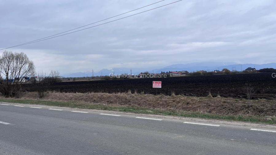 Teren 50000mp Extravilan-Intrare Halchiu-Cod 5235 - 2