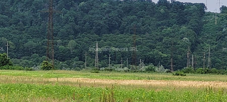 TEREN AGRICOL BABENI LANGA ABATOR LA PROVINCIA - pretabil ferma cu panour solare - 8