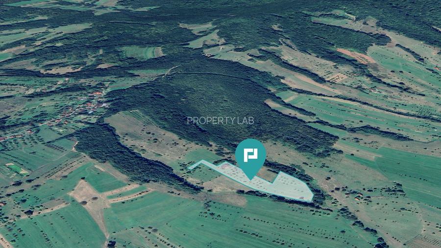 Teren de 92294 in Halmagiu - 3